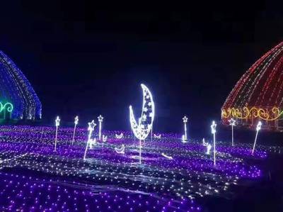 专业大型灯光秀灯光造型布场灯光亮化树木亮化工程